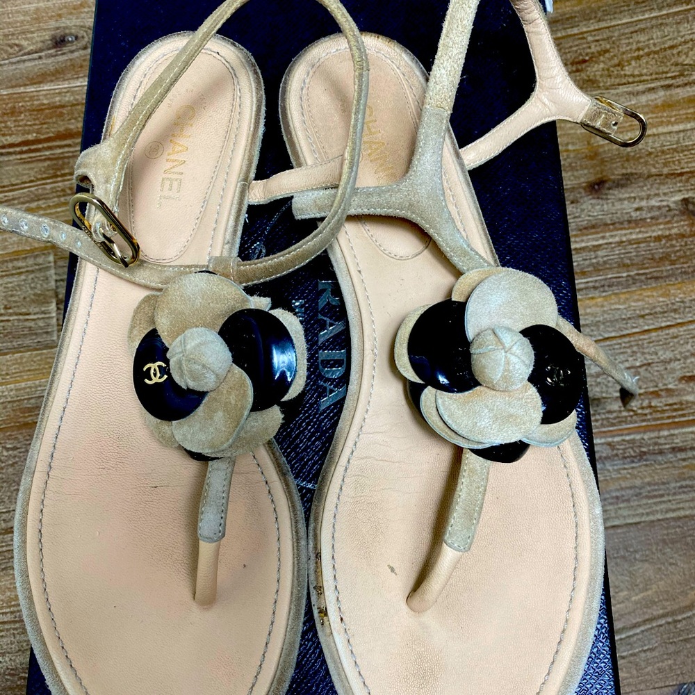 Chanel Beige Suede Camelia Sandal